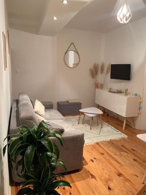 Appartamento Le Petit Cocon Nimois Nîmes Esterno foto